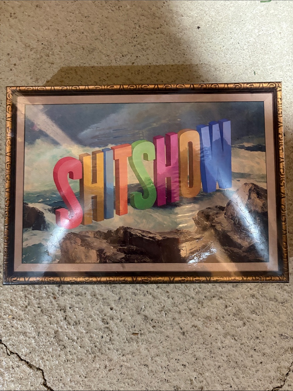 NWT ‘SHITSHOW’ 500 Piece Puzzle